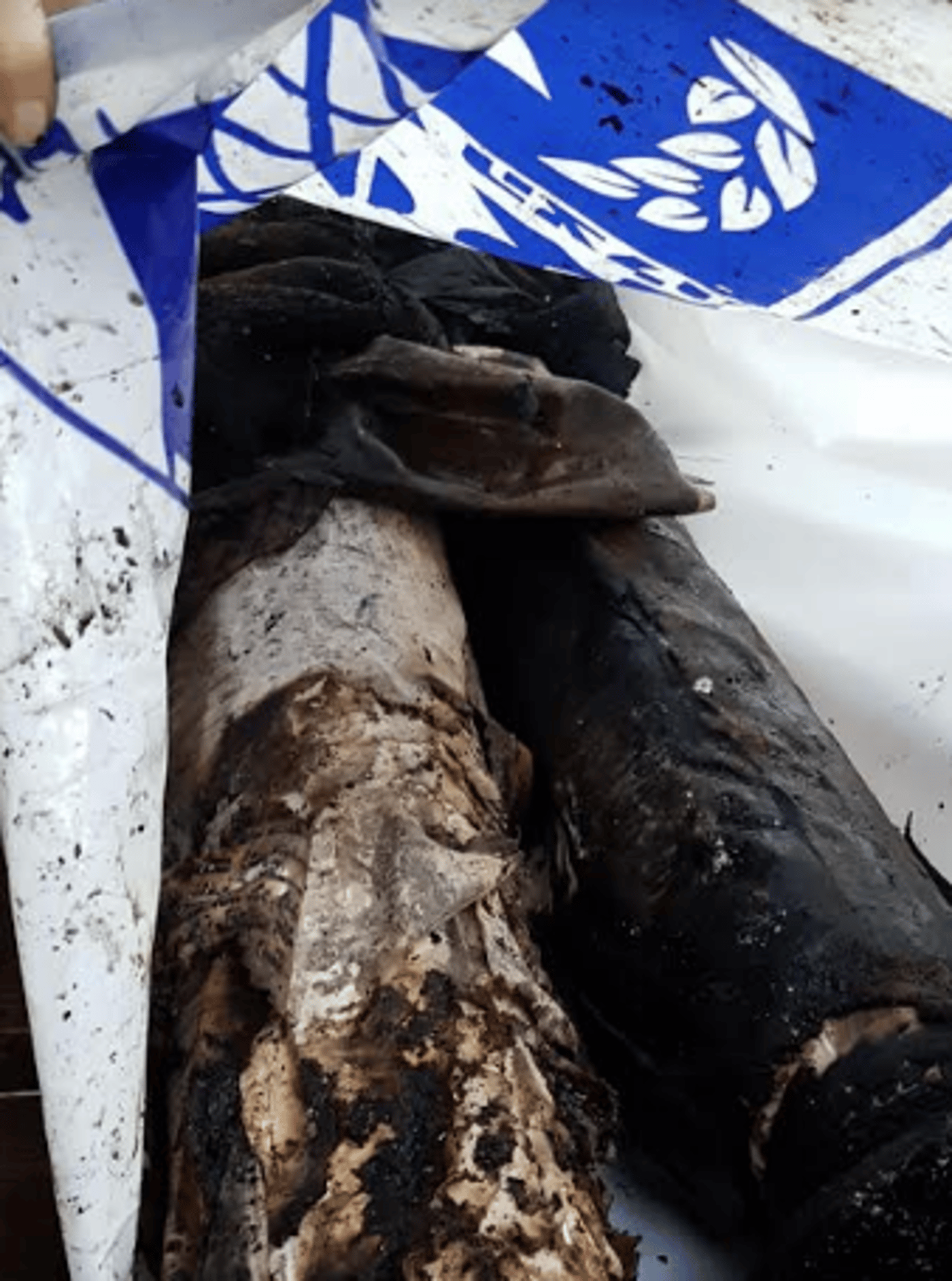 ערב ט' באב: בית הכנסת במבוא חורון נשרף כליל