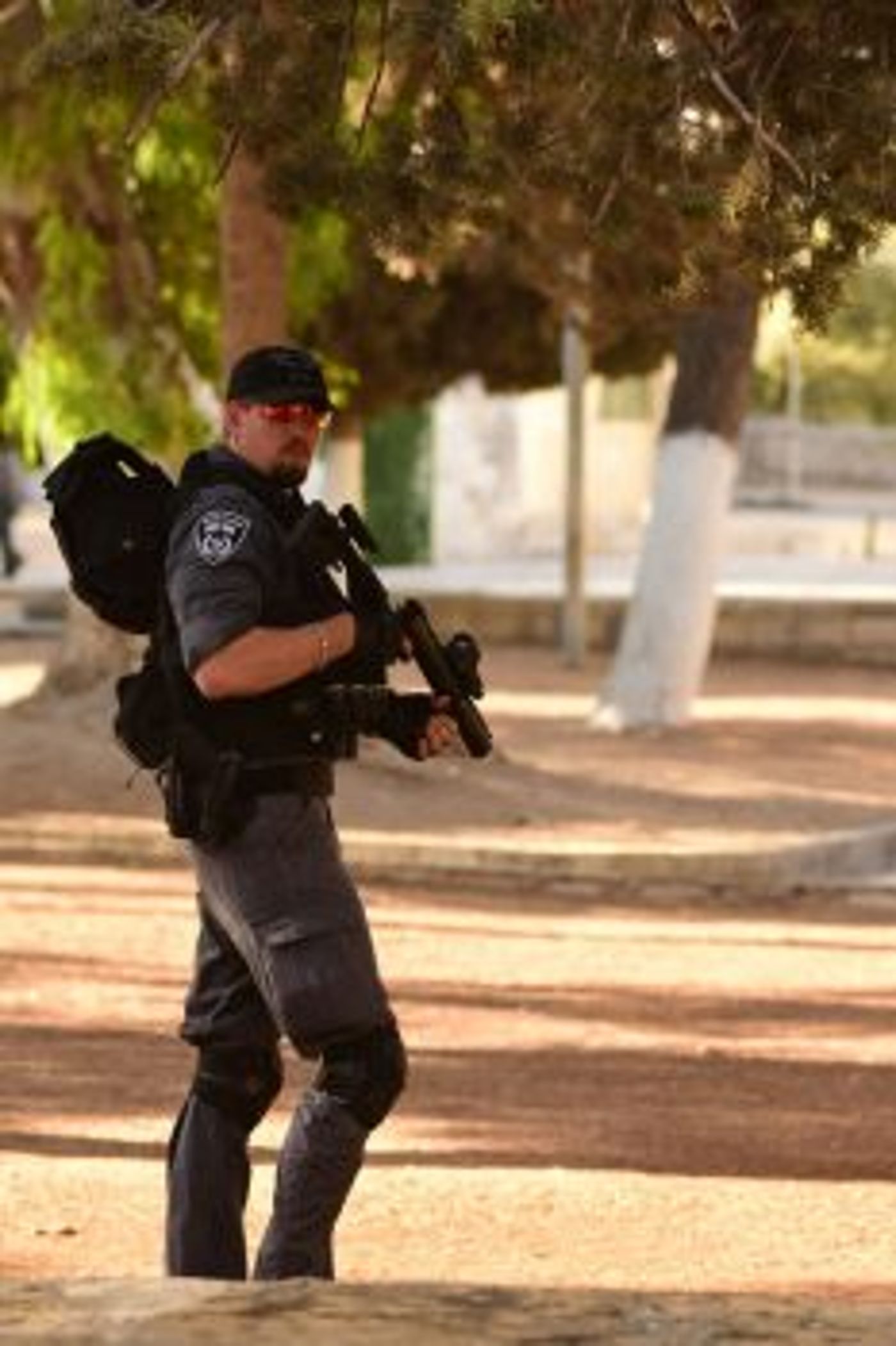 מיוחד: גלריה מרהיבה מעליית היהודים להר הבית ב-ט' באב