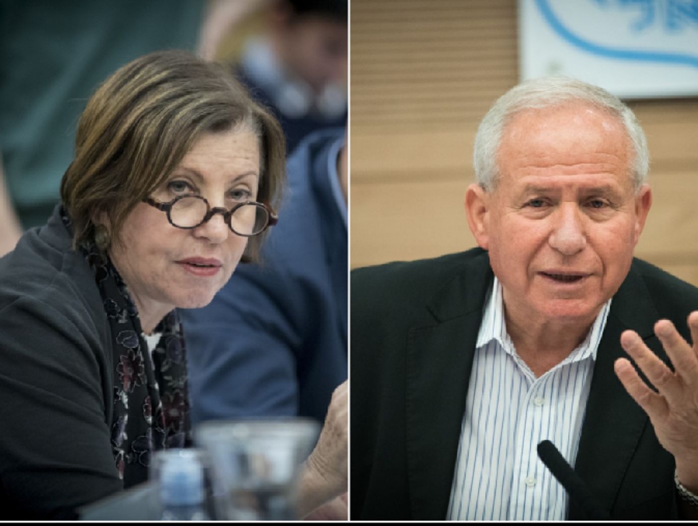 'לא נעים לראות אותך כך': עימות בין גלאון לדיכטר