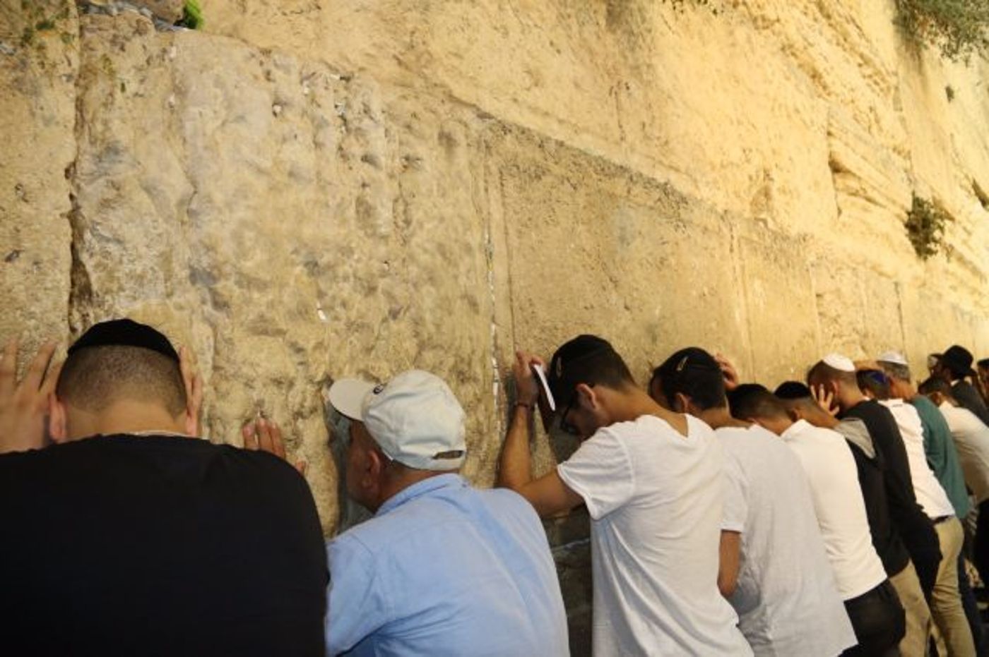 גלריה: סליחות ראשונות בכותל המערבי בירושלים