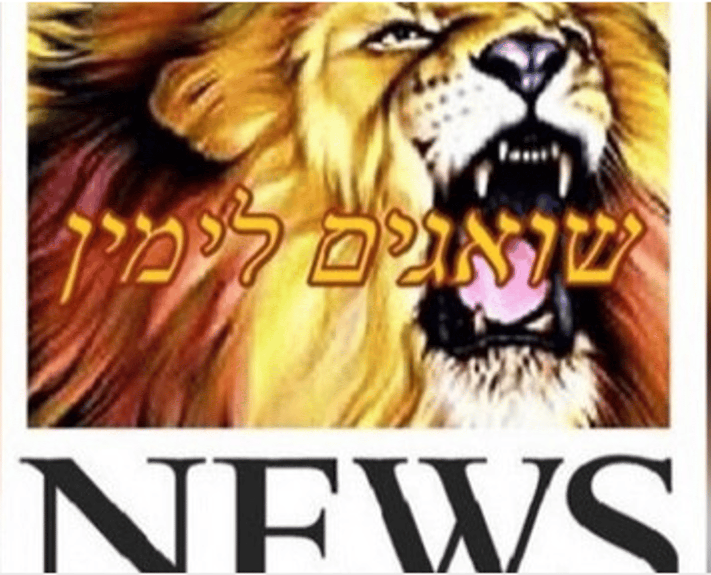 (צילום מסך מתוך פייסבוק)