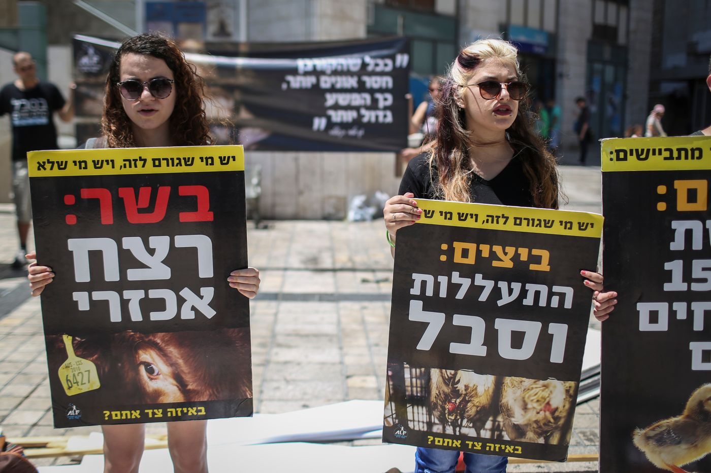 מדוע רק שמאלנים פעילים למען זכויות בעלי חיים?