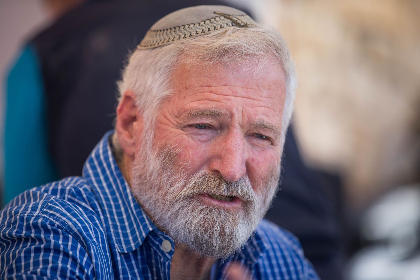 זאב חבר זמביש