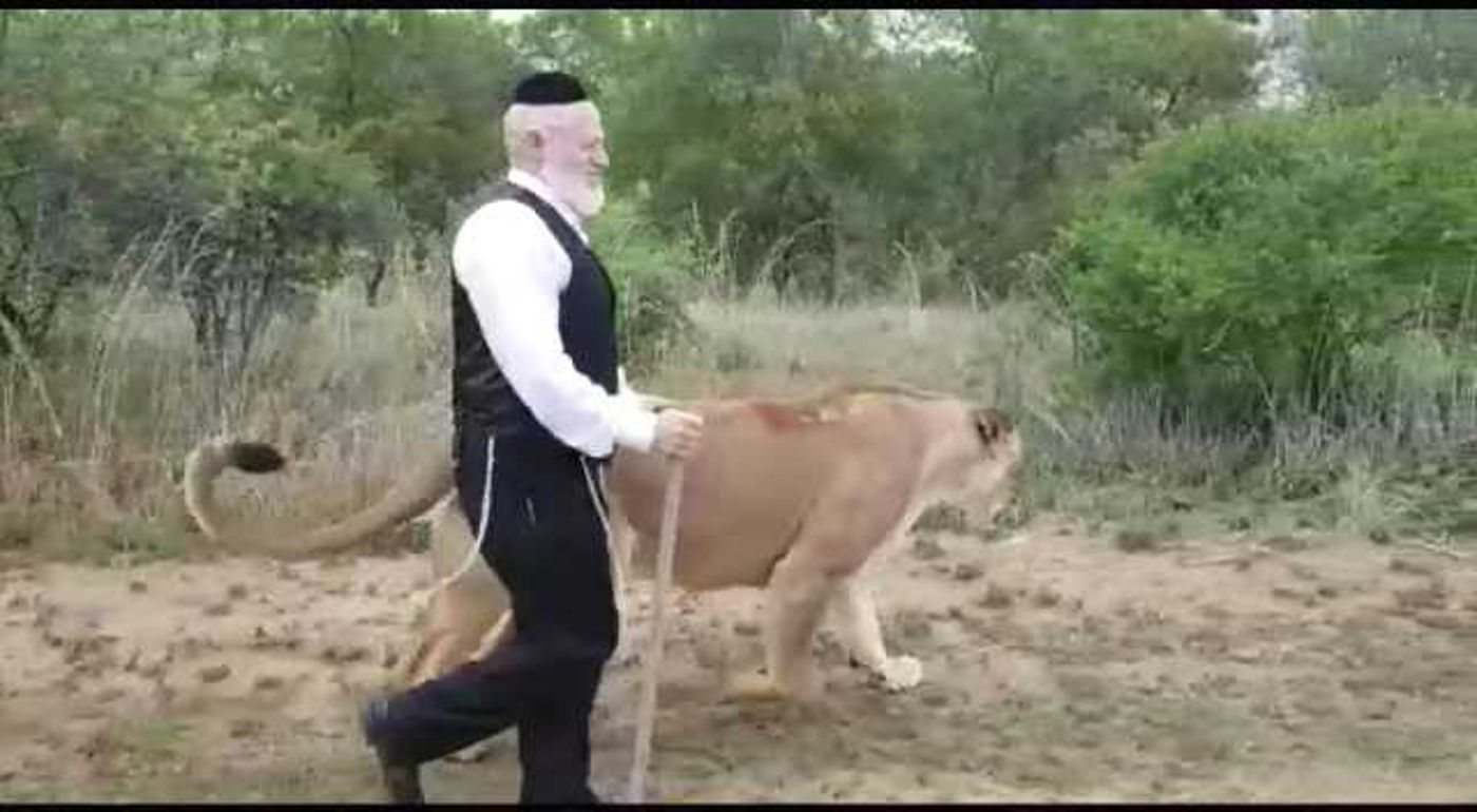 הרב ערוסי על הנס של משי-זהב: סיכון מיותר ואסור