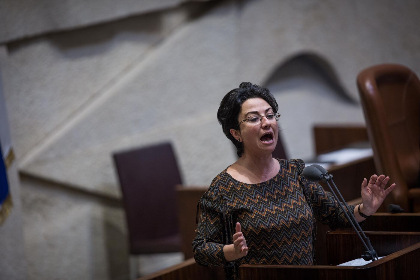 "תולעת קטנה, מחבלת, פח אשפה": עימות חריף בכנסת