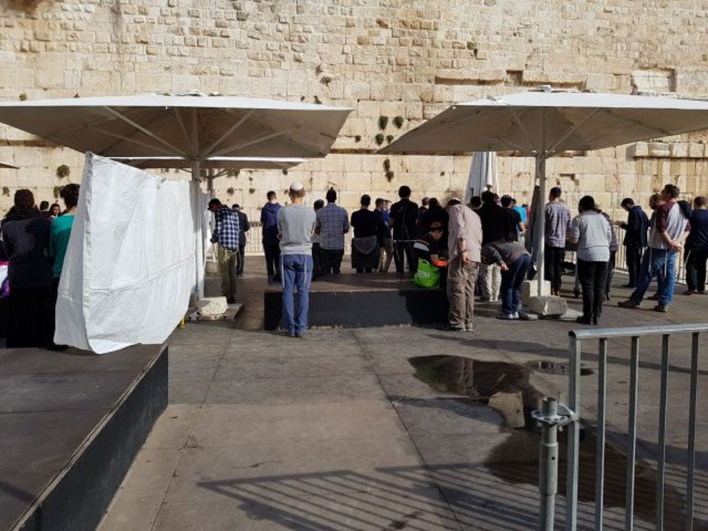 לפני בג"צ: עשרות התפללו בהפרדה ב'כותל הרפורמי'