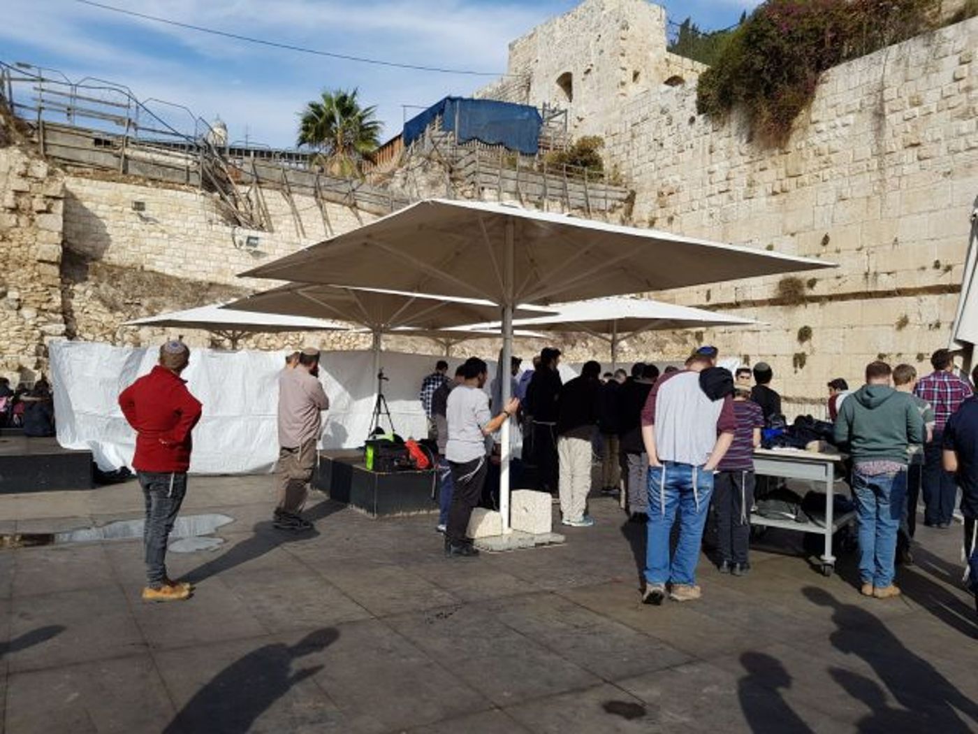 לפני בג"צ: עשרות התפללו בהפרדה ב'כותל הרפורמי'
