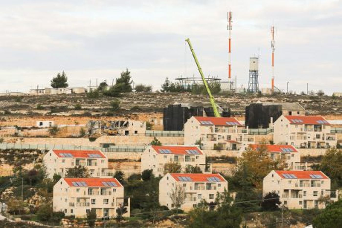 המחאה של הזוגות הצעירים מבית אל