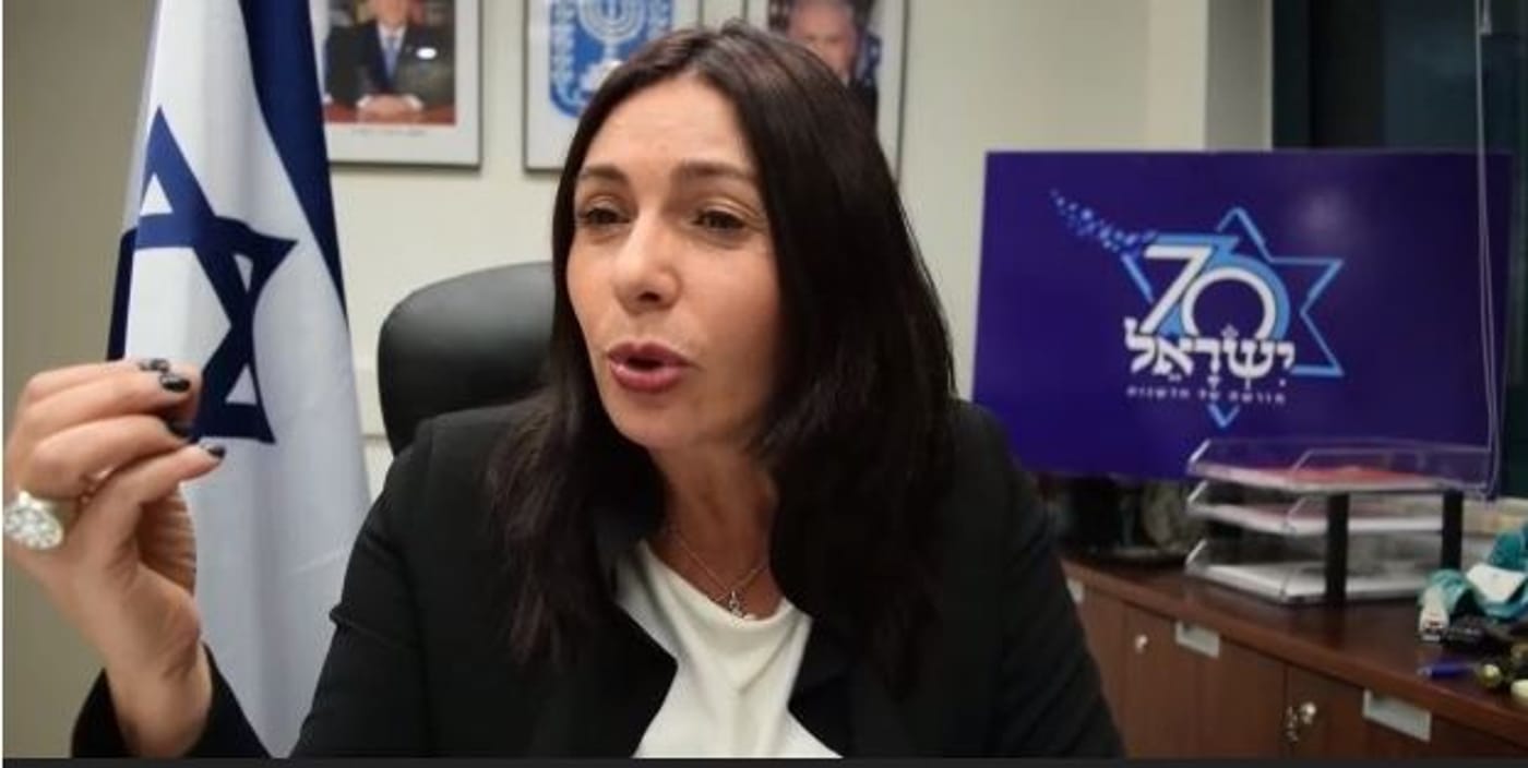 רגב מאשימה את זנדברג: "מפזרת השמצות ופוגעת בישראל"