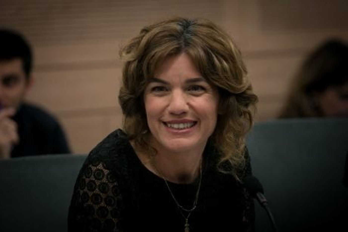 זנדברג מגלה: מה גרם למרצ להיות לא רלבנטית?