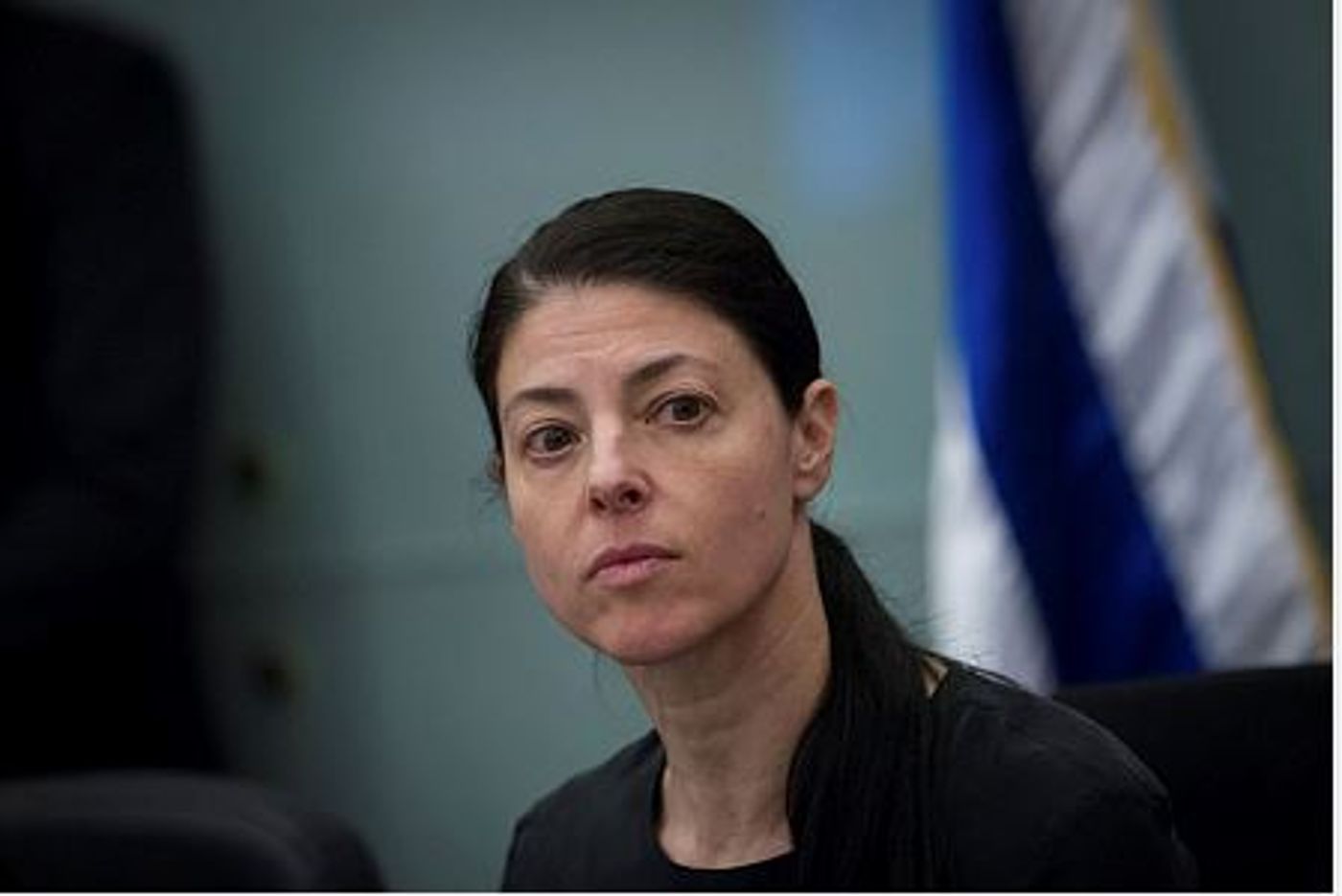 מרב מיכאלי: "פרץ ושמולי עשו גניבה פוליטית גדולה"