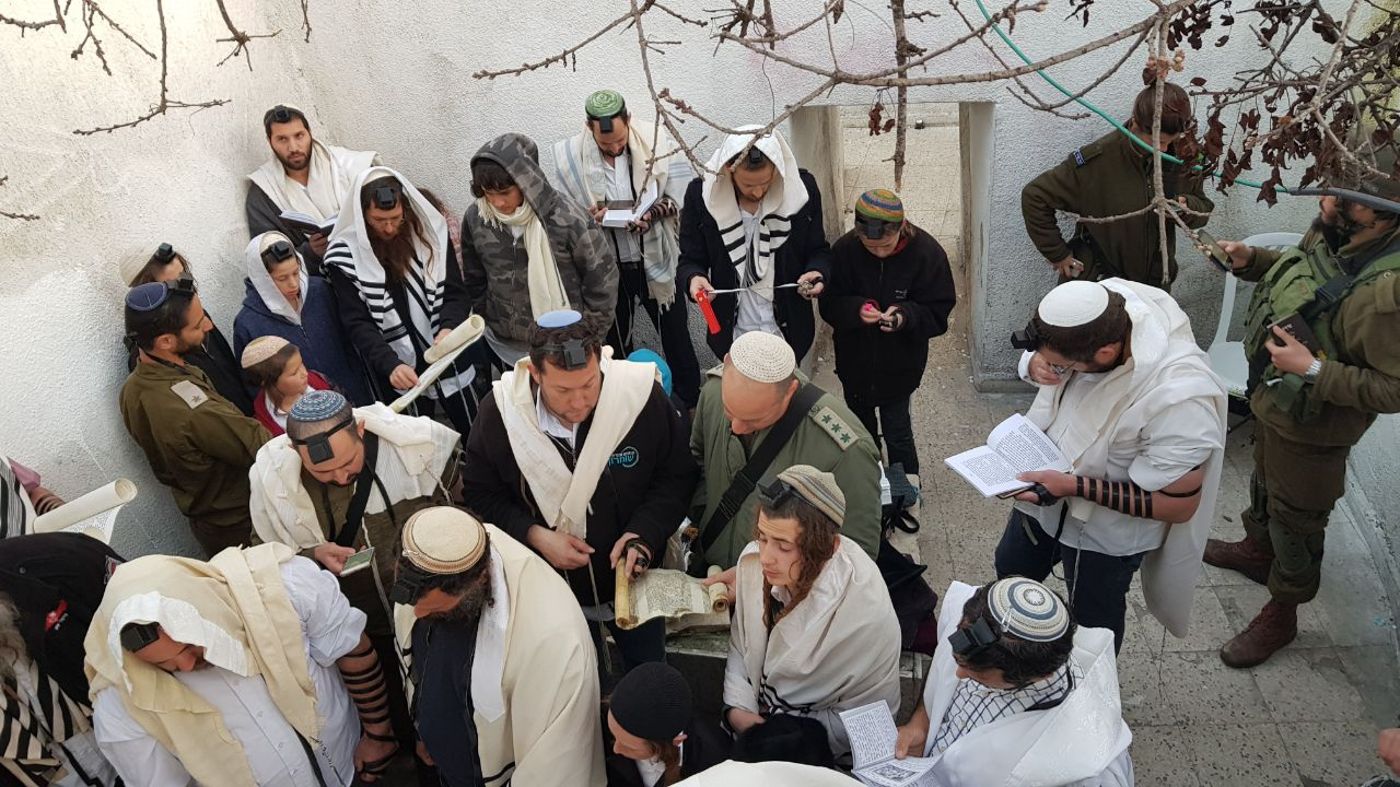 בקבר יהושע בן נון: עשרות קראו מגילת אסתר