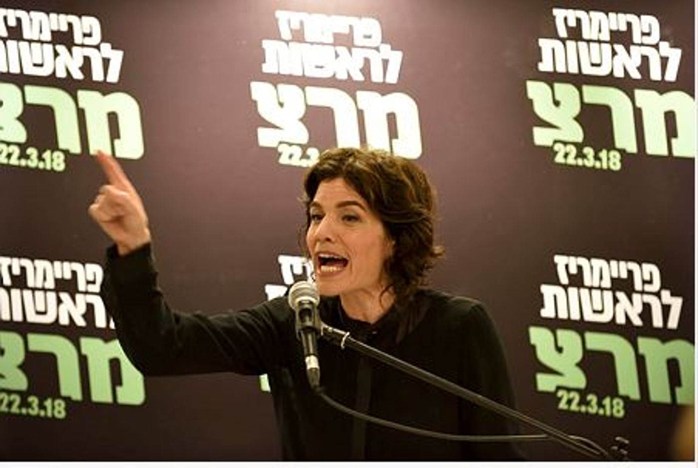 זנדברג ניצחה; אבל השמאל ימשיך להפסיד/ פרשנות