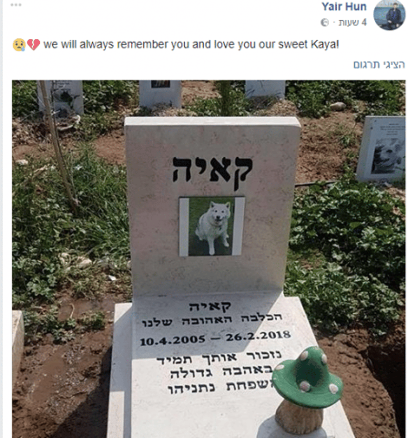 מוגזם? משפחת נתניהו הקימה מצבה לכלבה קאיה