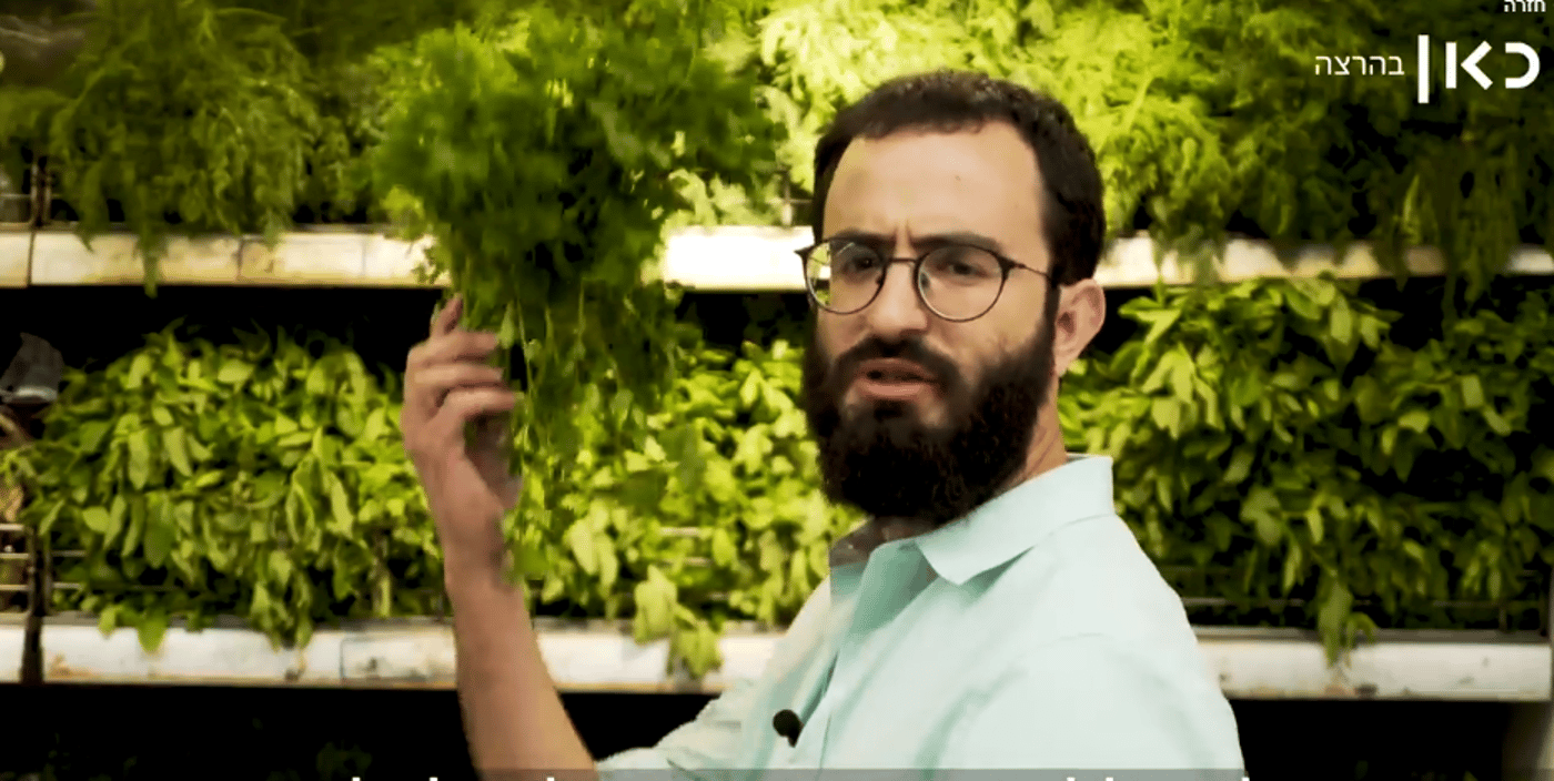 למה לאסור אכילת עגבניות בפסח זה רציונלי? צפו