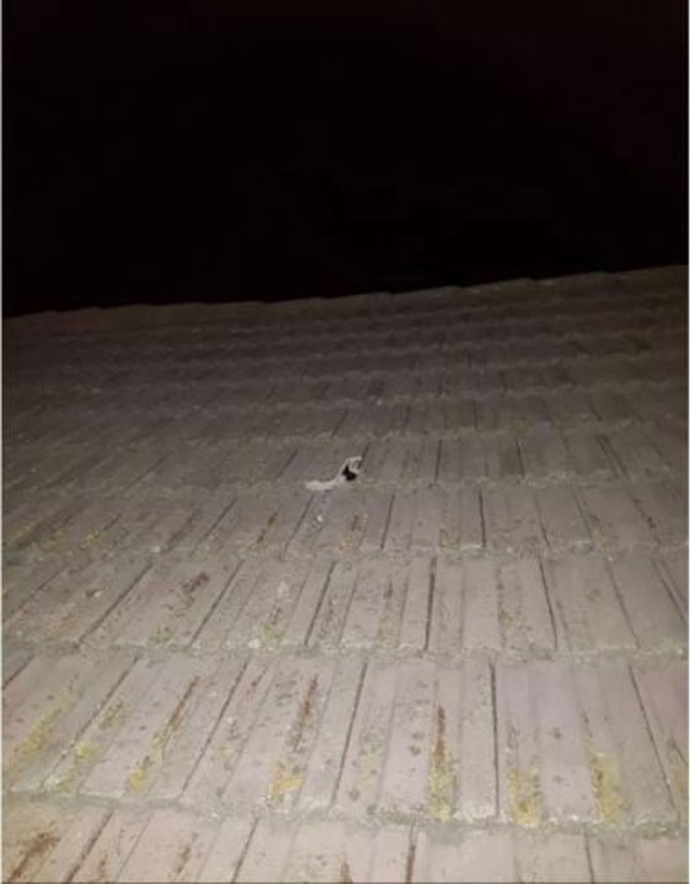 צה"ל תקף בעזה; קליעים פגעו בבית בשער הנגב