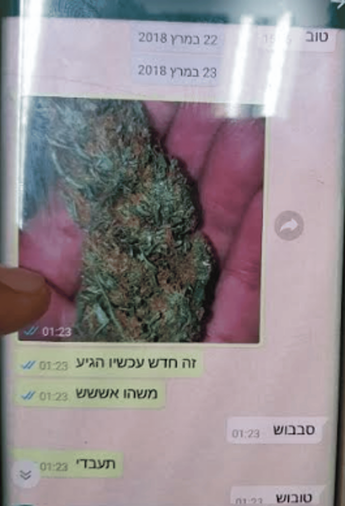 חיילת דתיה ביחידה מובחרת סחרה בסמים עם שב"ח