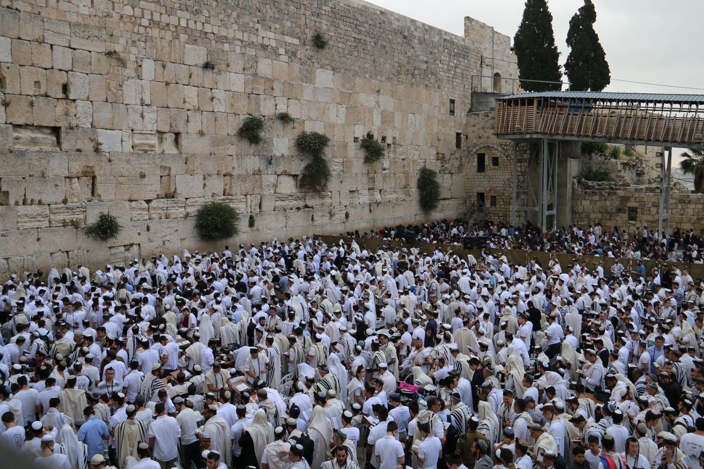 צפו: תפילת ישיבות ההסדר בכותל ביום ירושלים