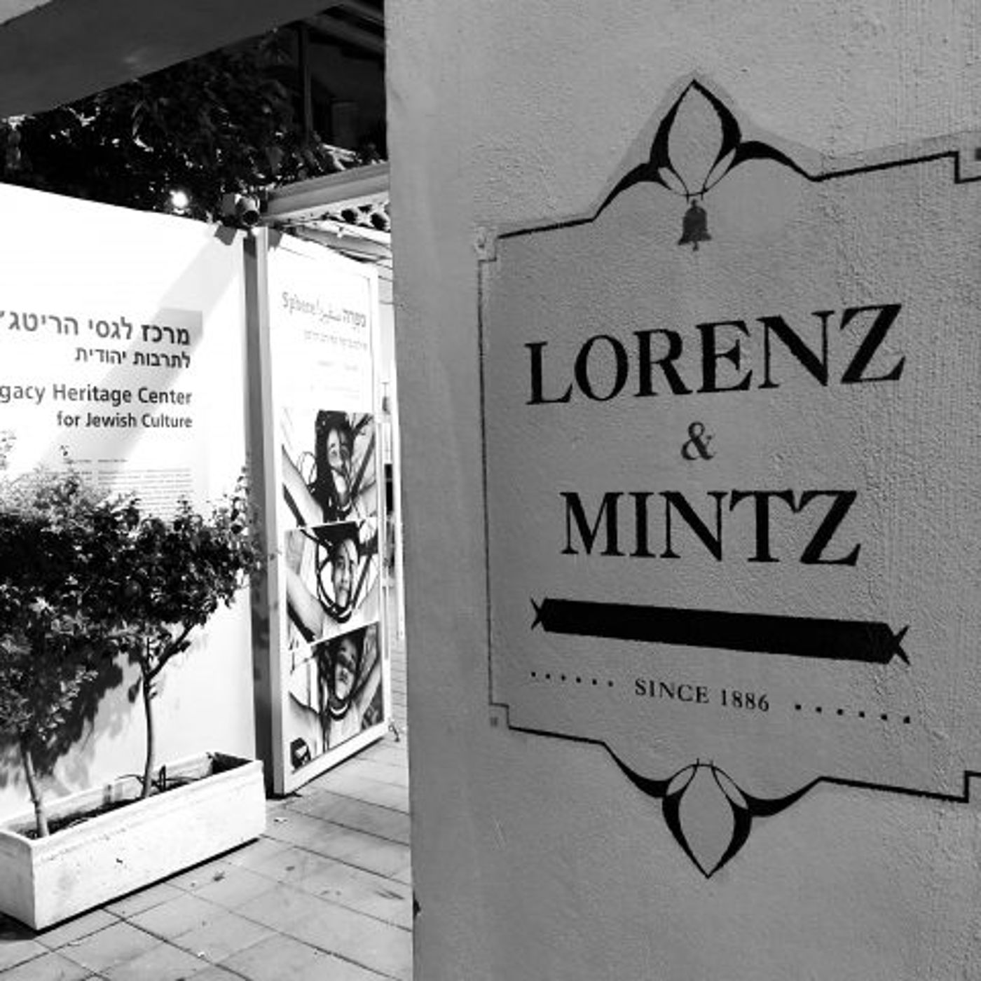 אלופת הארץ בעוגות גבינה | ביקורת מסעדות