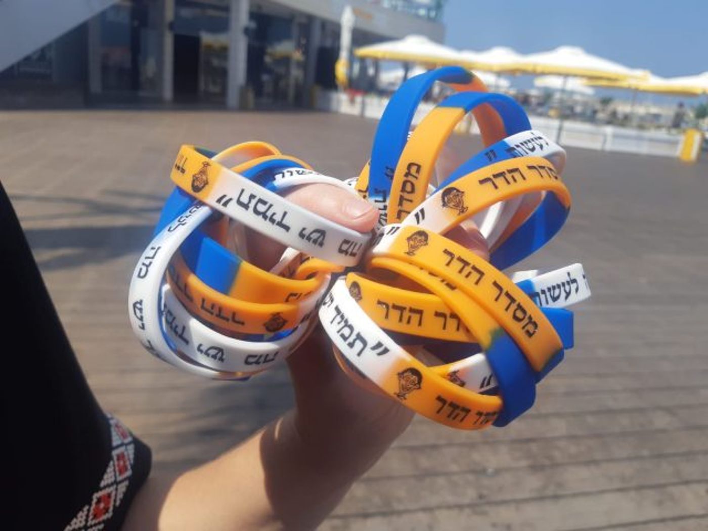 ארבע שנים בלי הדר: הח"כים יצאו למשט הזדהות