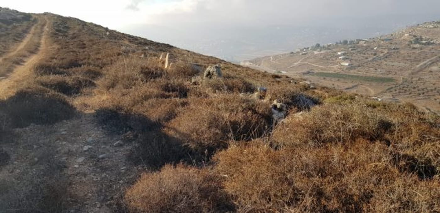 (צילום ארז בן סעדון)