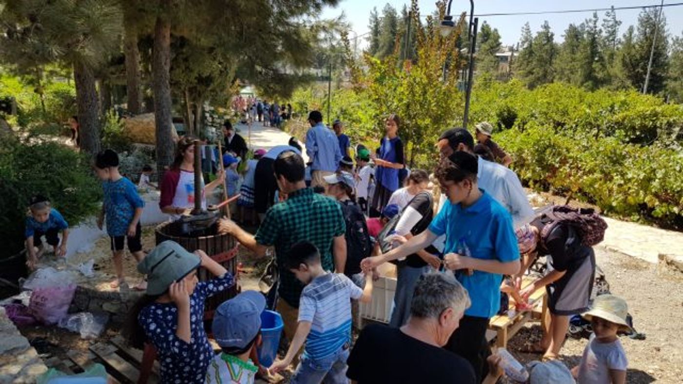 פסטיבל הבציר בגוש עציון במחווה לתושבי הדרום