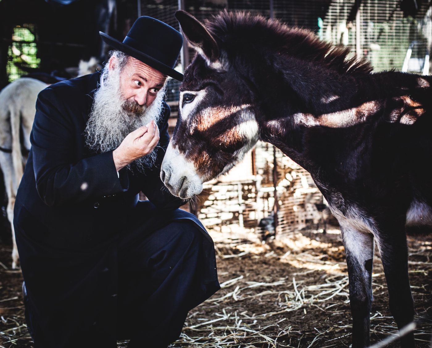 מביא את המשיח: שולי רנד בסינגל חדש• צפו
