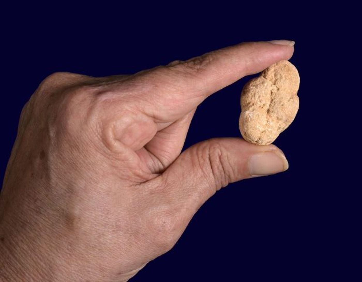 חלוק נחל שמצא ילד התגלה כממצא נדיר בן 11 אלף שנה