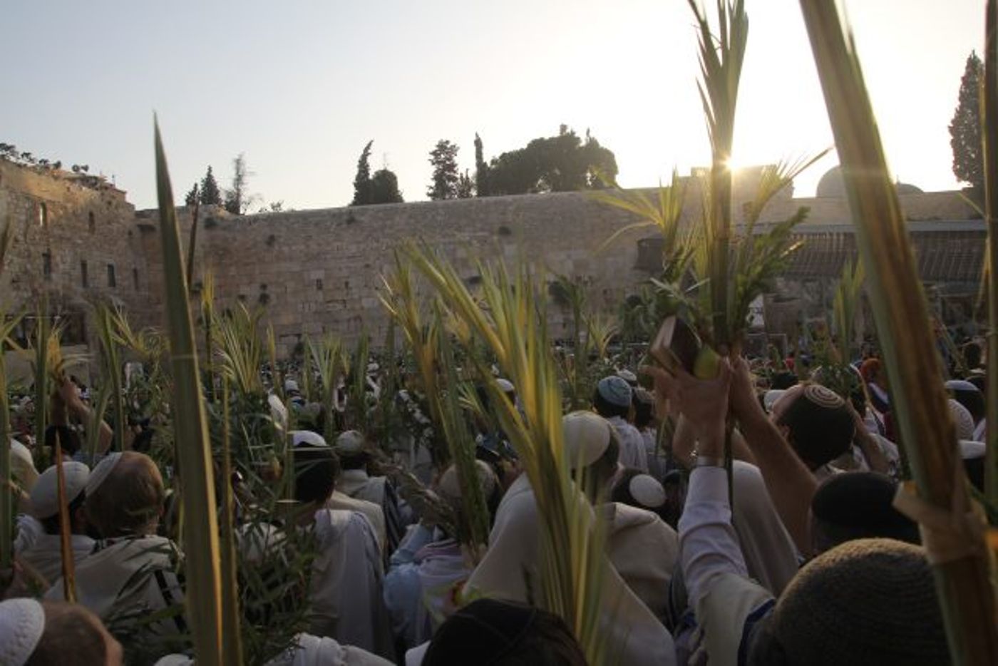 עלייה לרגל: כך חוגגים את סוכות בכותל המערבי