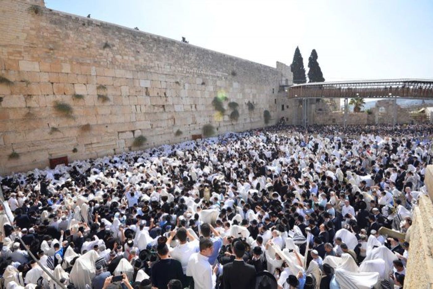 צאו מהסוכה: מדריך אירועי חול המועד תשע"ט
