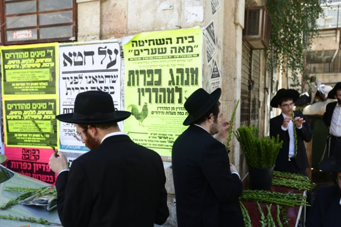 גלריה • 4 המינים ובניית סוכה: ההכנות לחג בירושלים