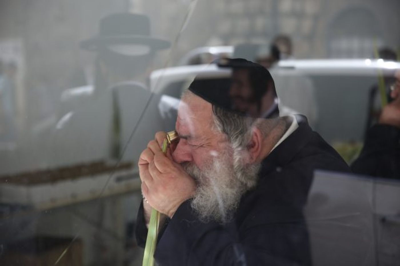 גלריה • 4 המינים ובניית סוכה: ההכנות לחג בירושלים