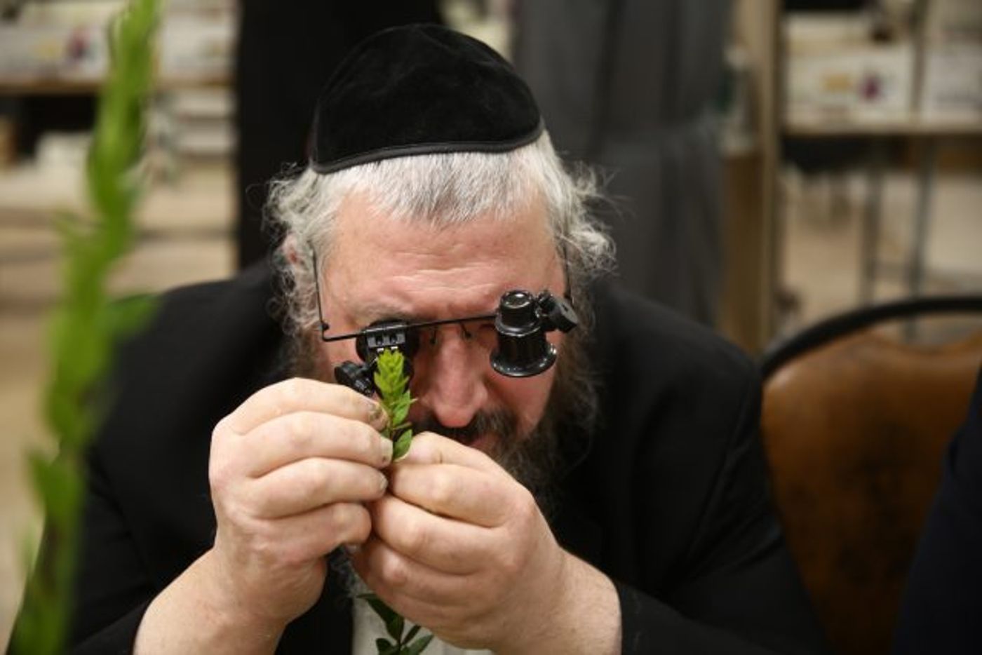 גלריה • 4 המינים ובניית סוכה: ההכנות לחג בירושלים