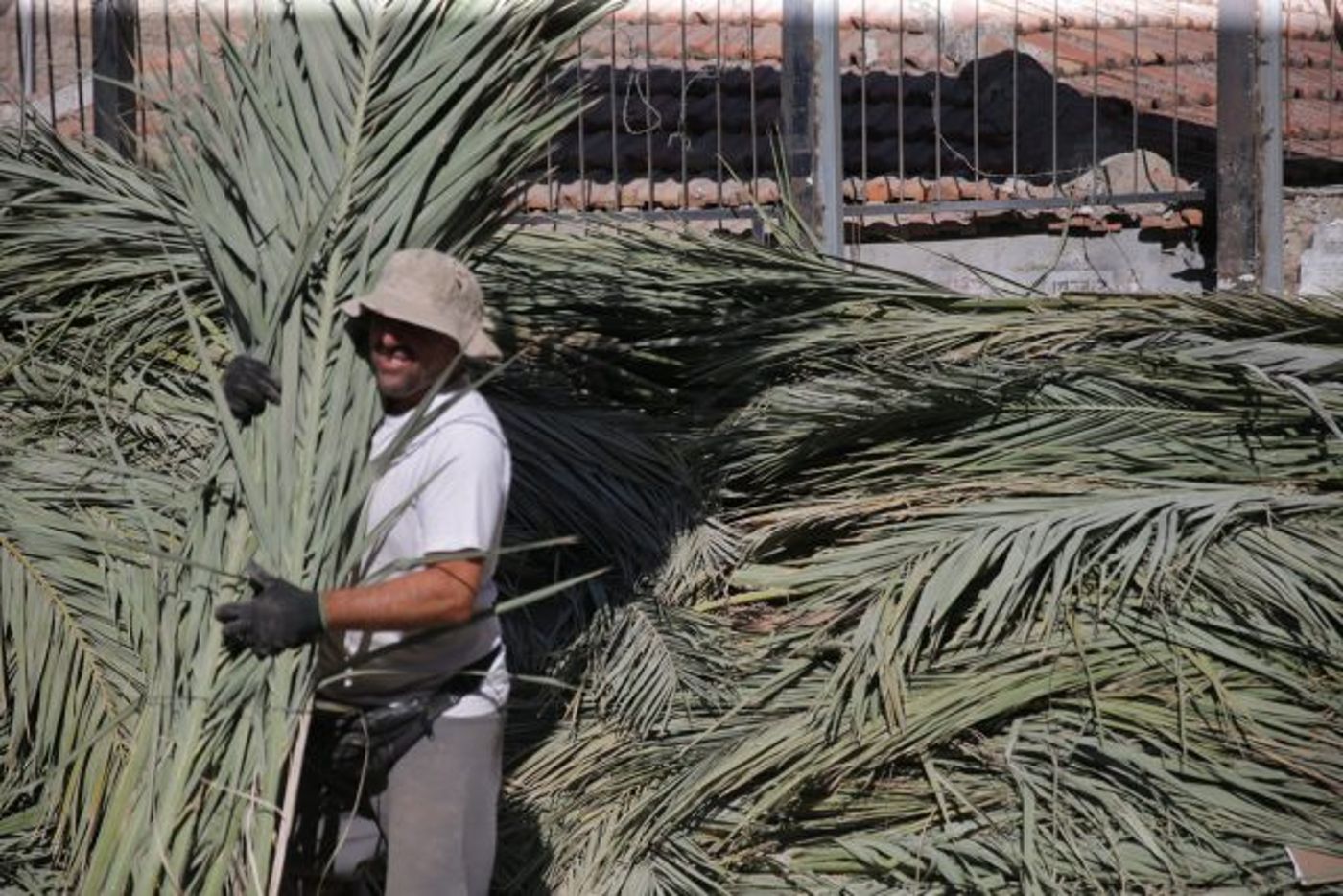 גלריה • 4 המינים ובניית סוכה: ההכנות לחג בירושלים