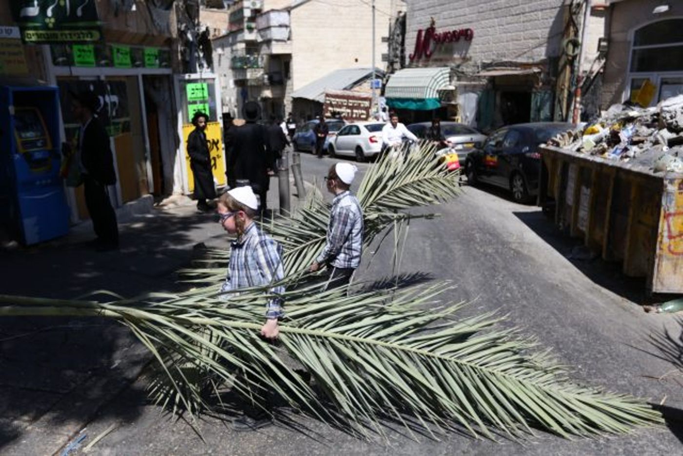 גלריה • 4 המינים ובניית סוכה: ההכנות לחג בירושלים