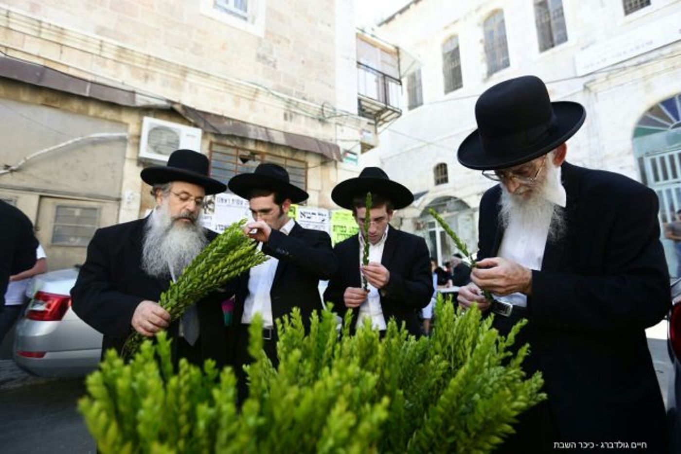 גלריה • 4 המינים ובניית סוכה: ההכנות לחג בירושלים