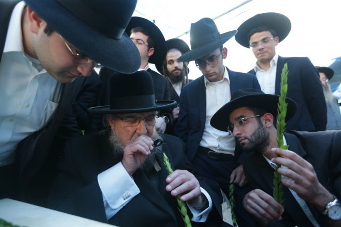 גלריה • 4 המינים ובניית סוכה: ההכנות לחג בירושלים