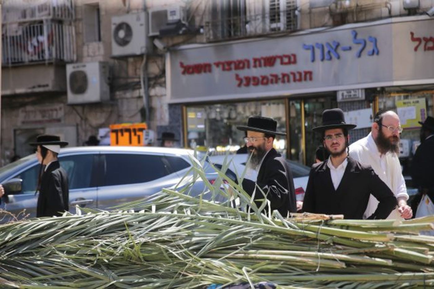 גלריה • 4 המינים ובניית סוכה: ההכנות לחג בירושלים