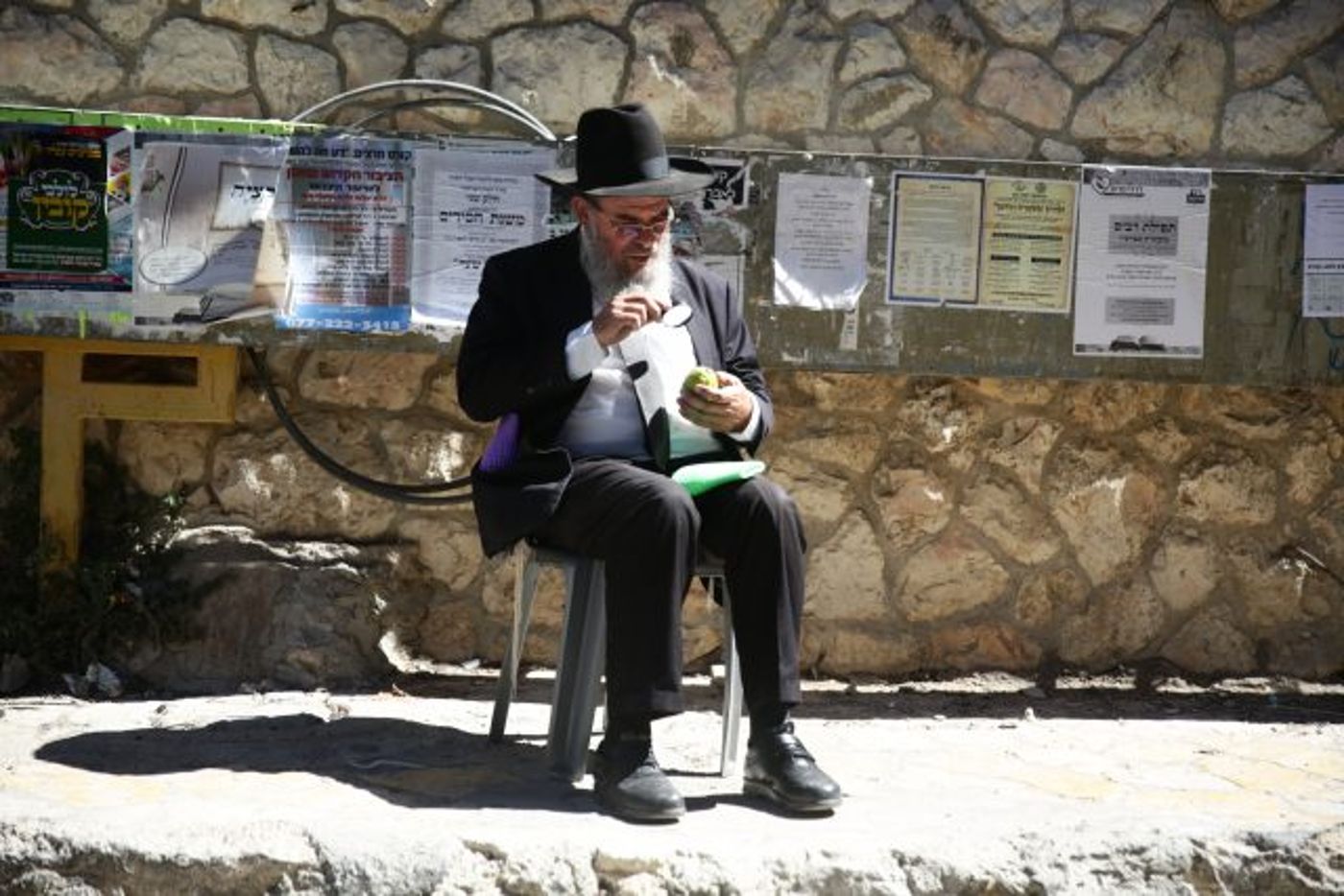 גלריה • 4 המינים ובניית סוכה: ההכנות לחג בירושלים