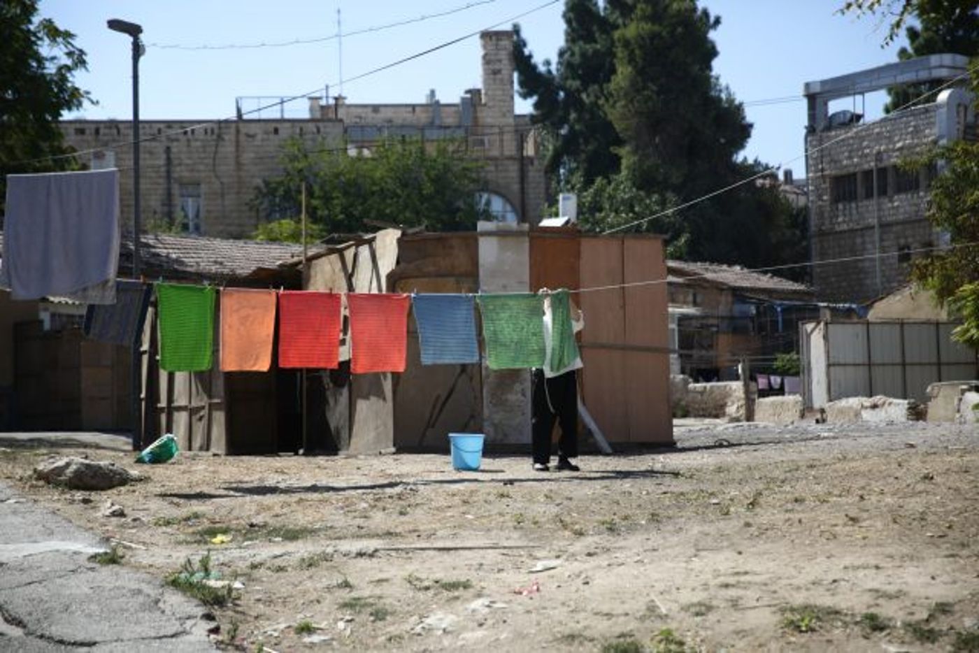גלריה • 4 המינים ובניית סוכה: ההכנות לחג בירושלים