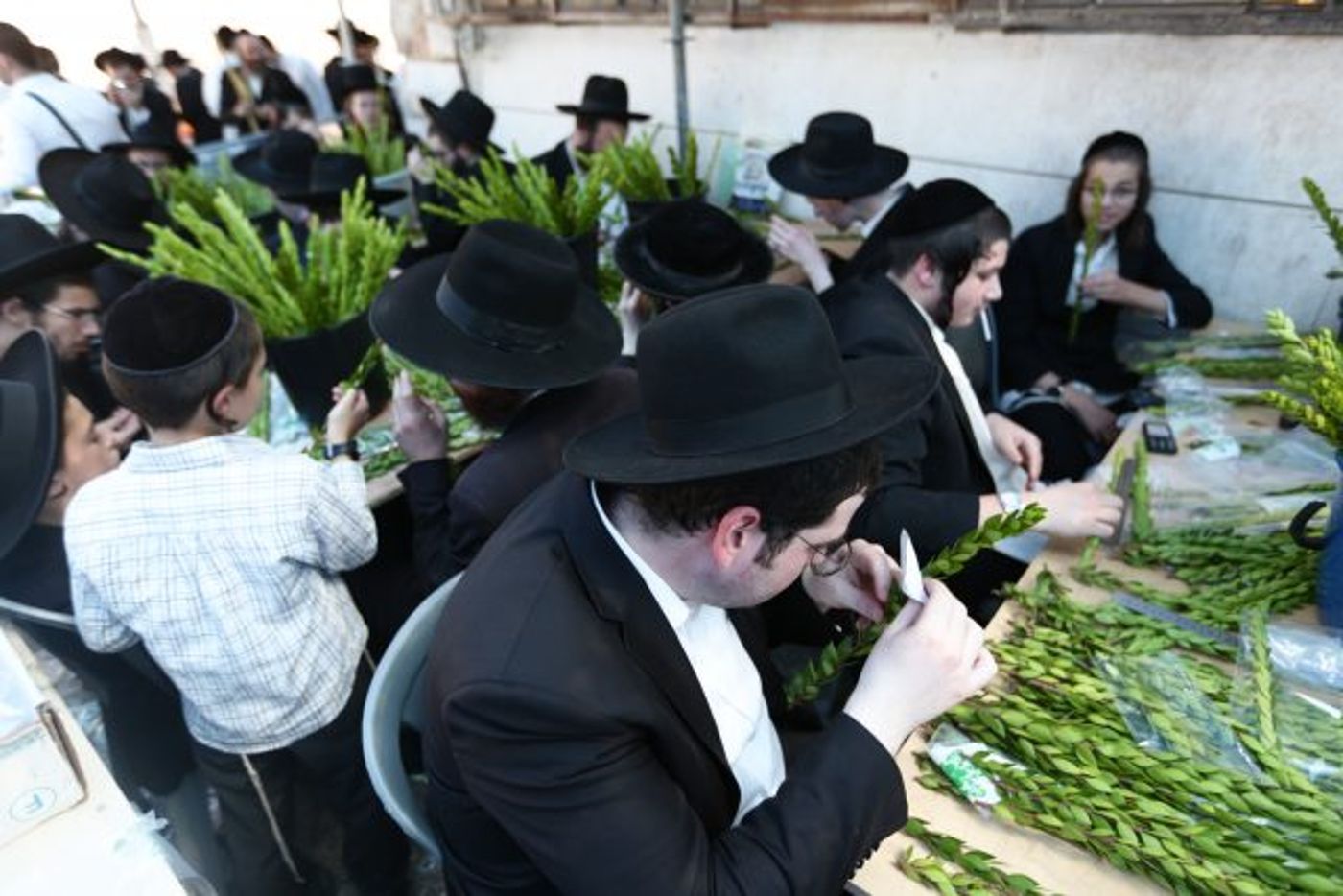 גלריה • 4 המינים ובניית סוכה: ההכנות לחג בירושלים