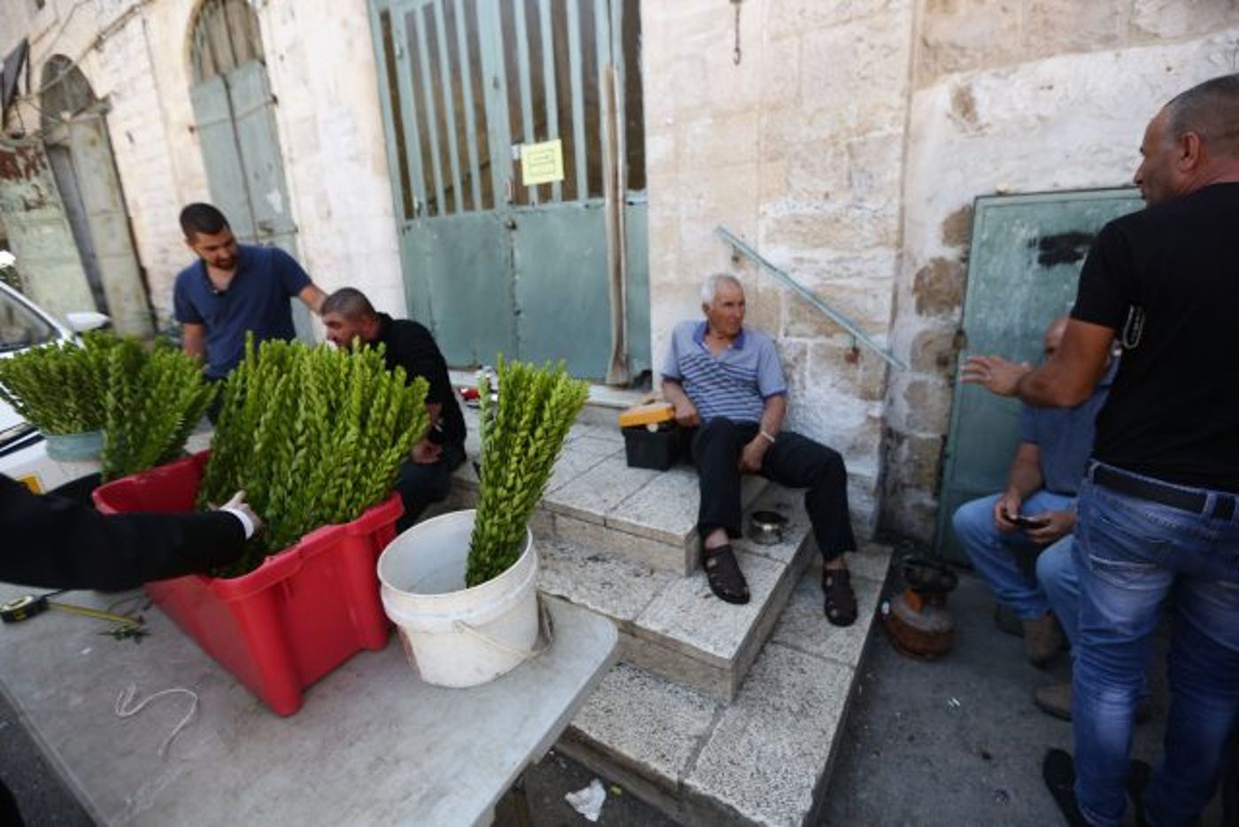 גלריה • 4 המינים ובניית סוכה: ההכנות לחג בירושלים