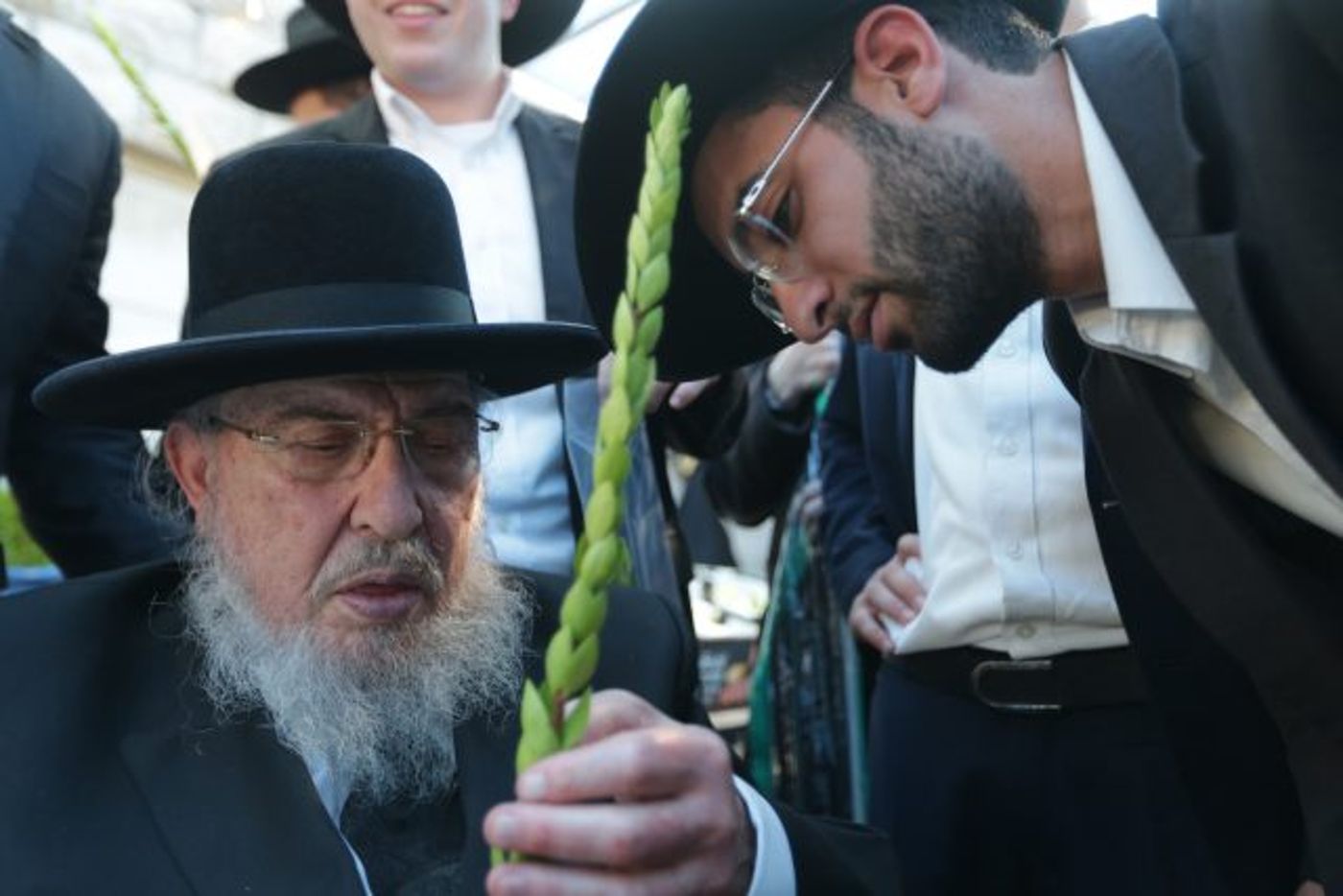 גלריה • 4 המינים ובניית סוכה: ההכנות לחג בירושלים