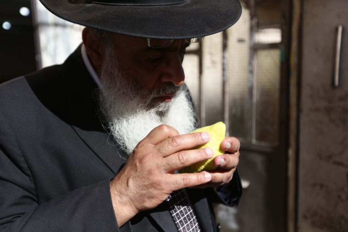גלריה • 4 המינים ובניית סוכה: ההכנות לחג בירושלים