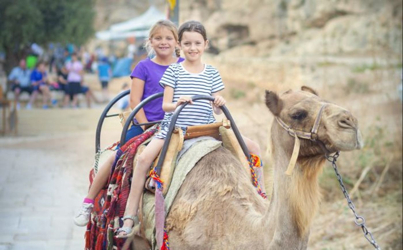 צאו מהסוכה: מדריך אירועי חול המועד תשע"ט