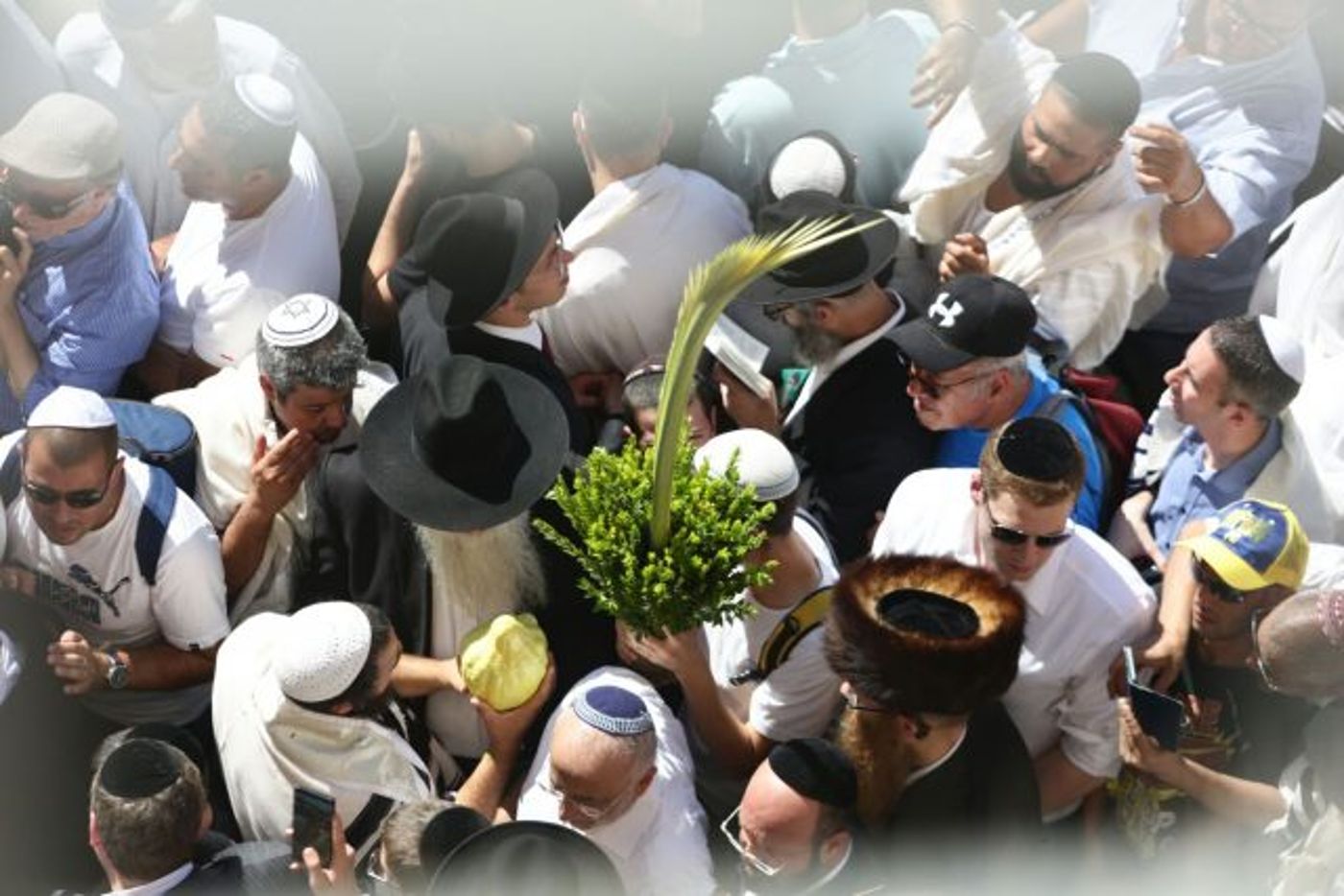 רבבות בברכת הכהנים בכותל המערבי • גלריה