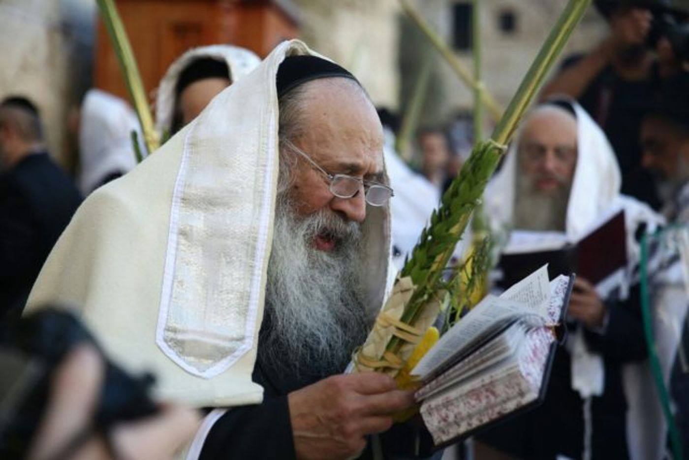 רבבות בברכת הכהנים בכותל המערבי • גלריה