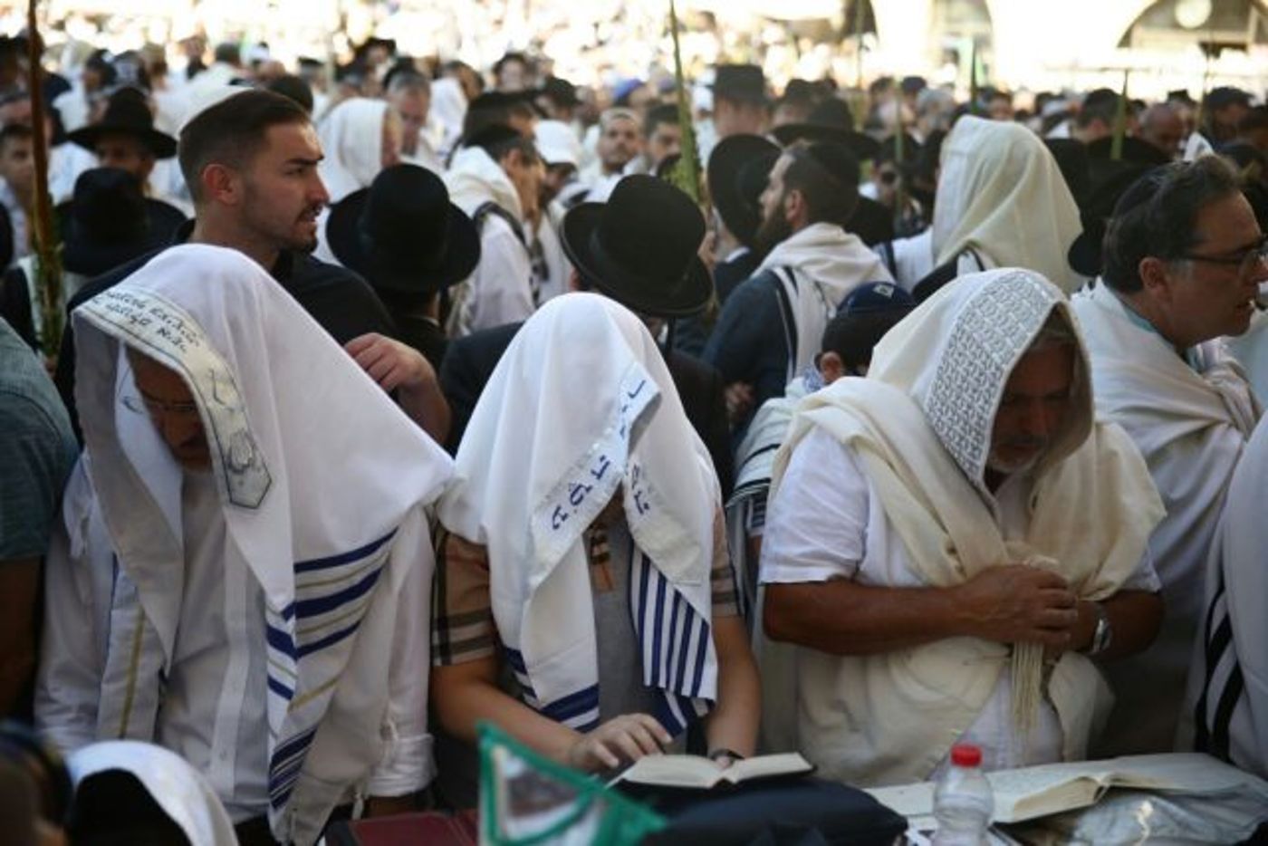 רבבות בברכת הכהנים בכותל המערבי • גלריה