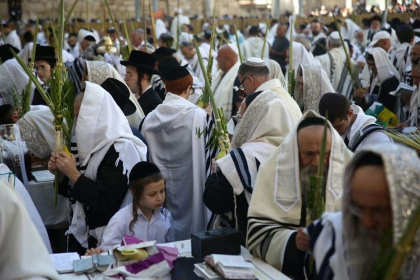 רבבות בברכת הכהנים בכותל המערבי • גלריה