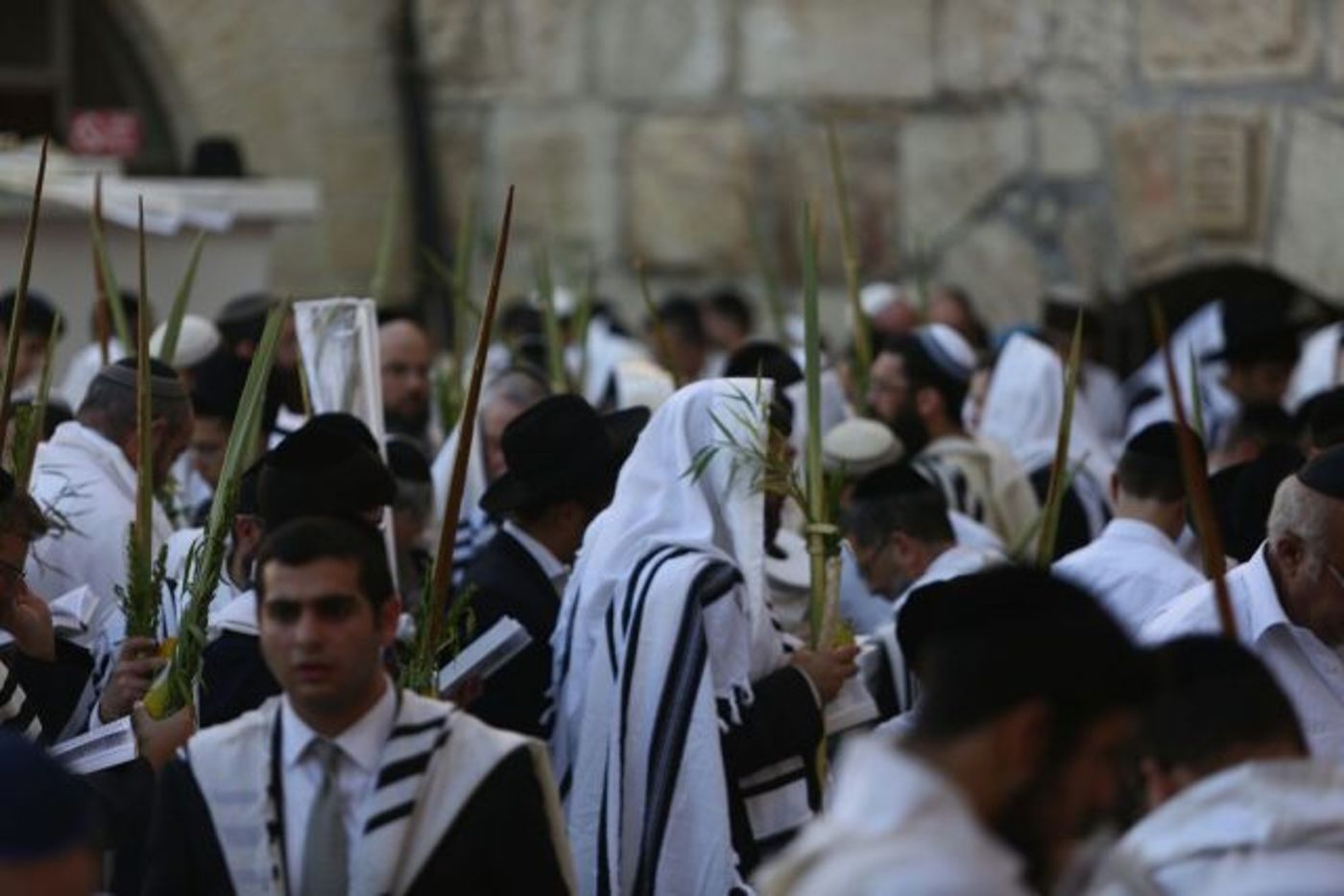רבבות בברכת הכהנים בכותל המערבי • גלריה